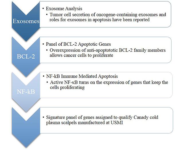 Molecular Diagonstics Objective Chart