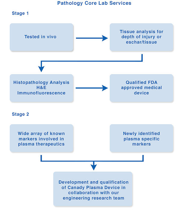 Pathology Core Lab Services